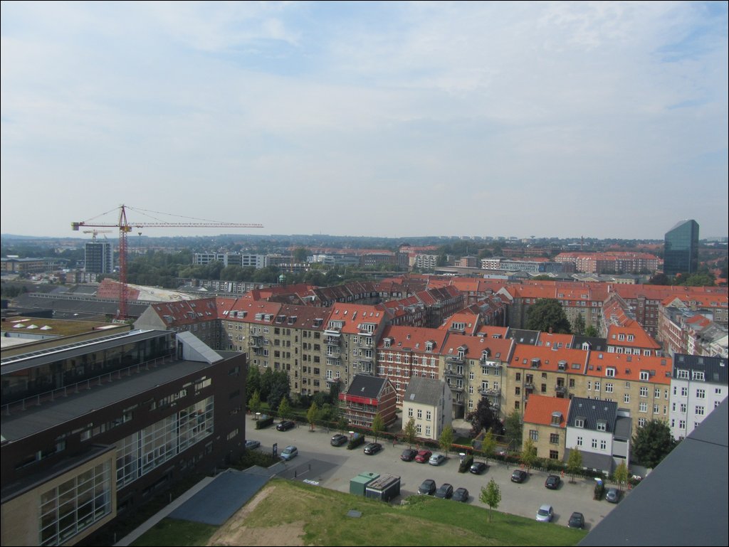IMG_3916.JPG