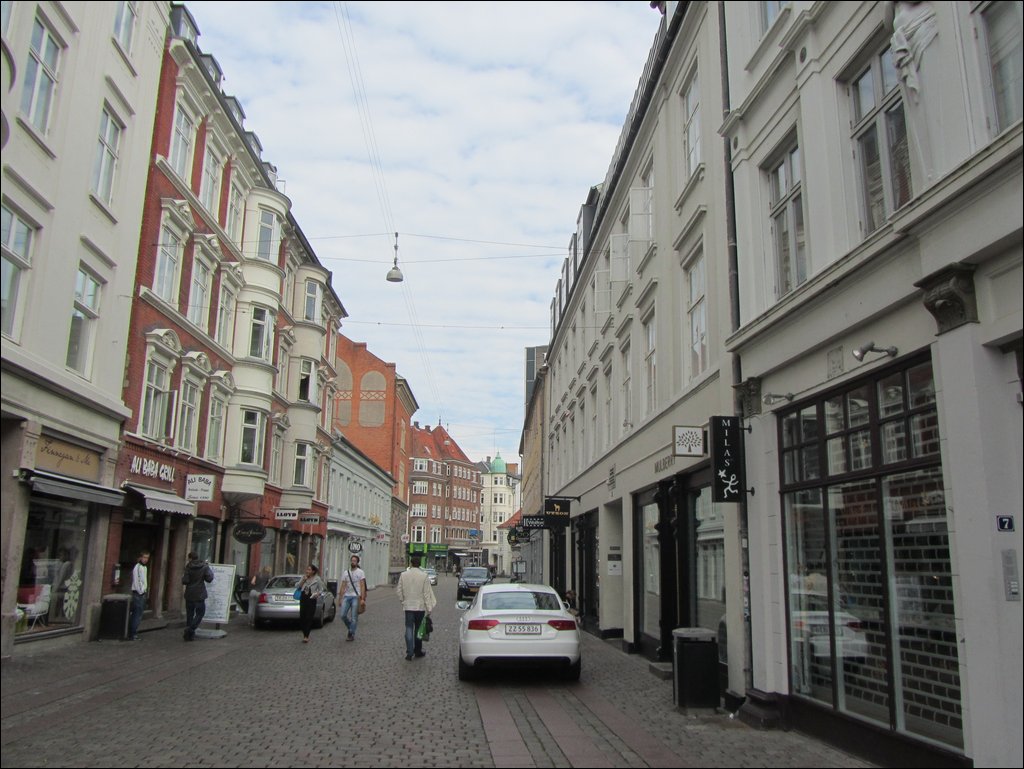 IMG_4000.JPG