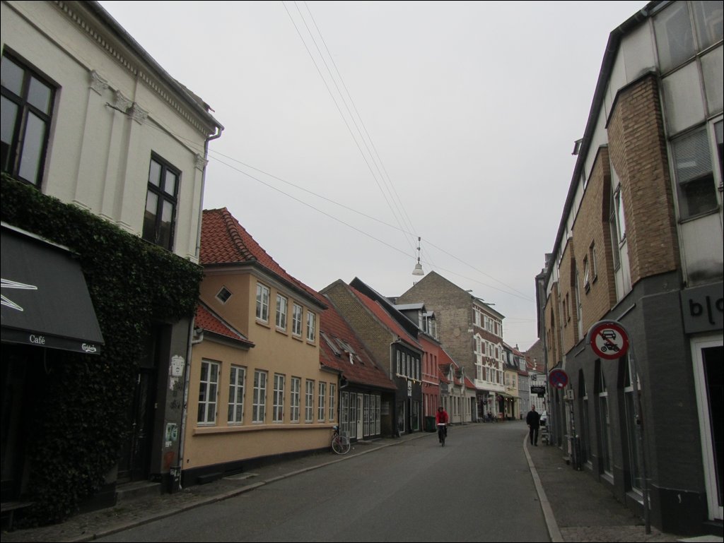 IMG_4049.JPG