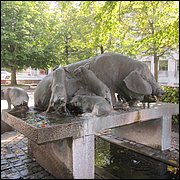 IMG_3905.JPG