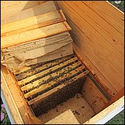 IMG_3935.JPG