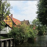 IMG_3943.JPG