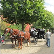 IMG_3975.JPG
