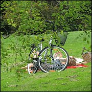 IMG_3984.JPG