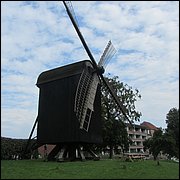 IMG_3985.JPG