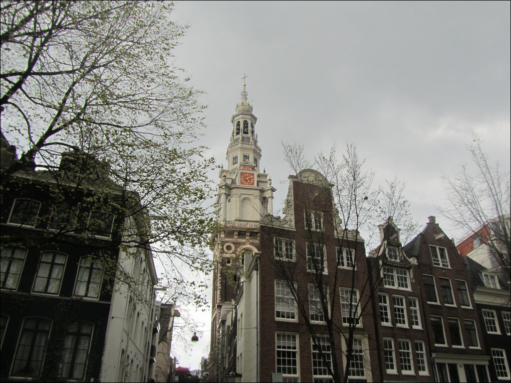 IMG_7079.JPG