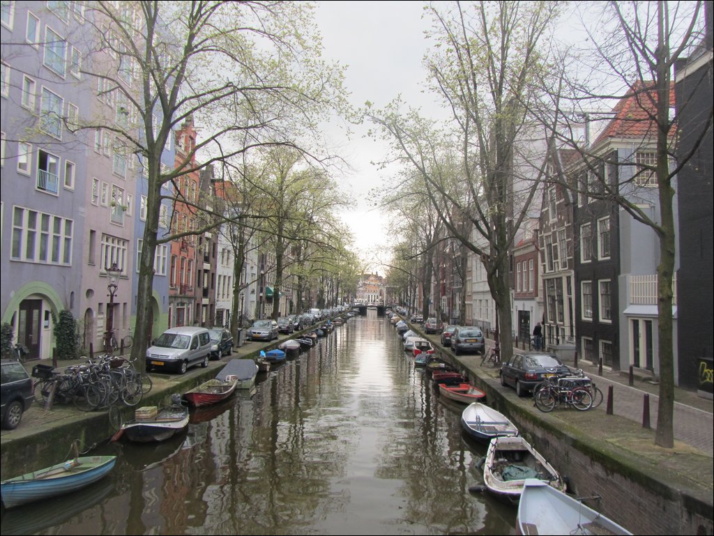 IMG_7084.JPG