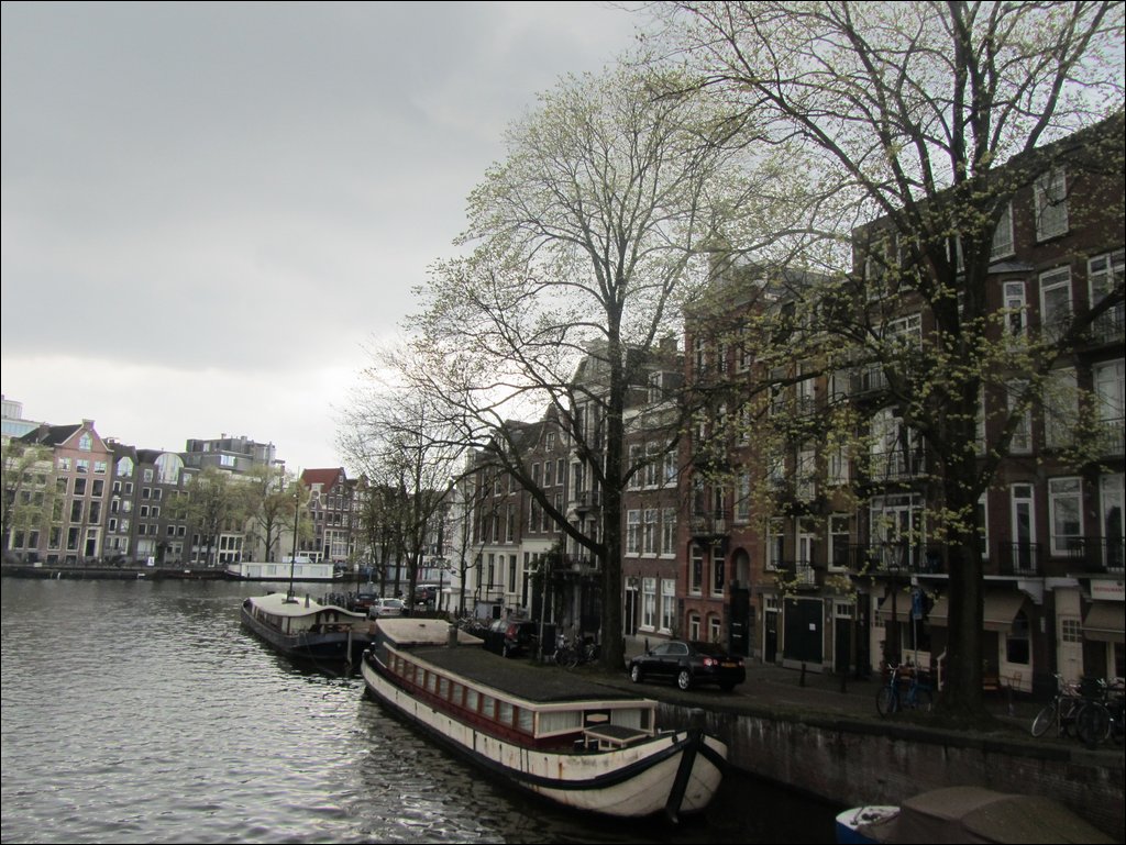 IMG_7095.JPG