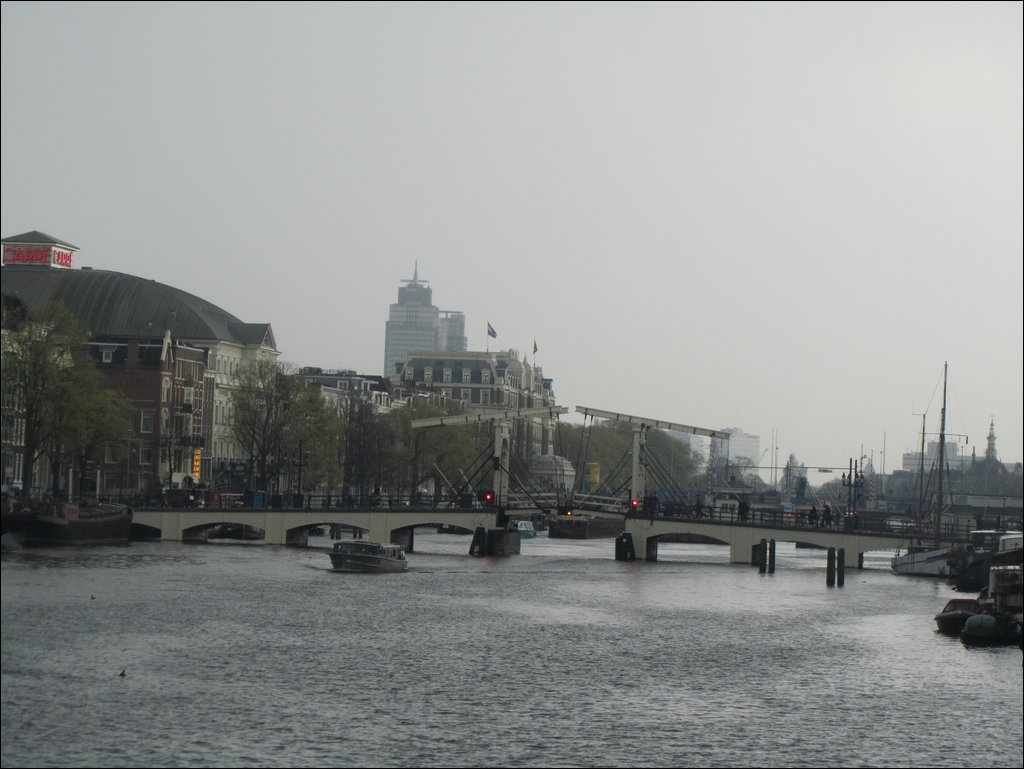 IMG_7107.JPG