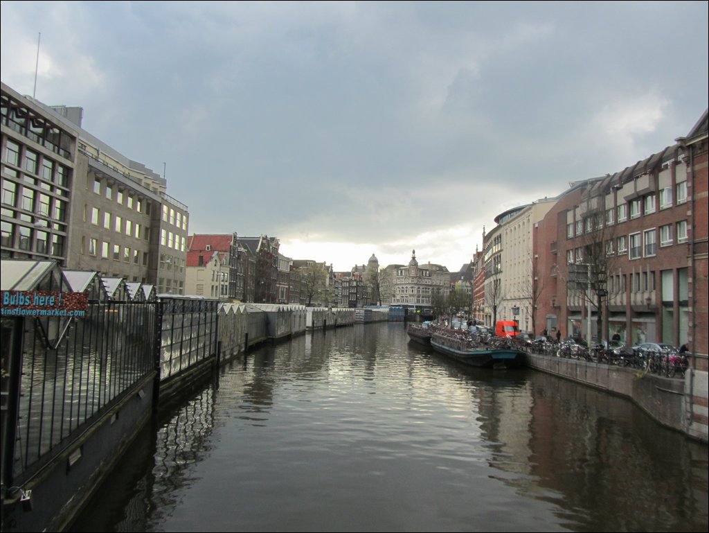 IMG_7131.JPG