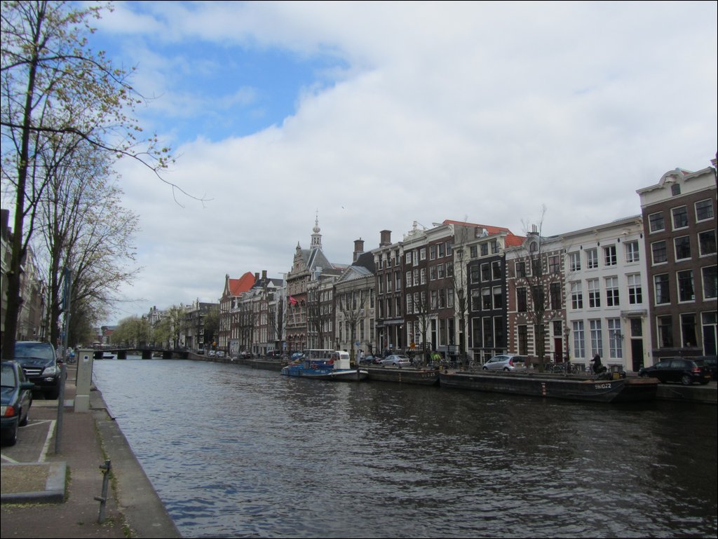 IMG_7462.JPG