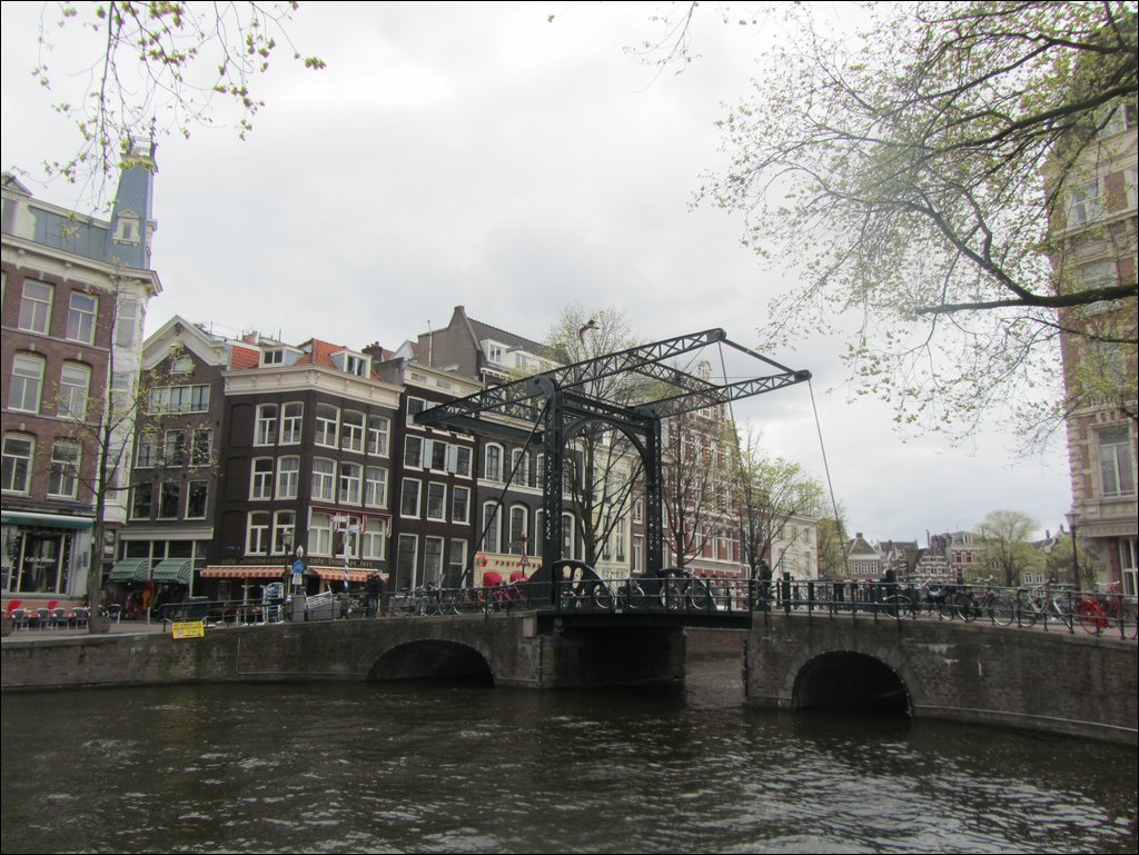 IMG_7463.JPG