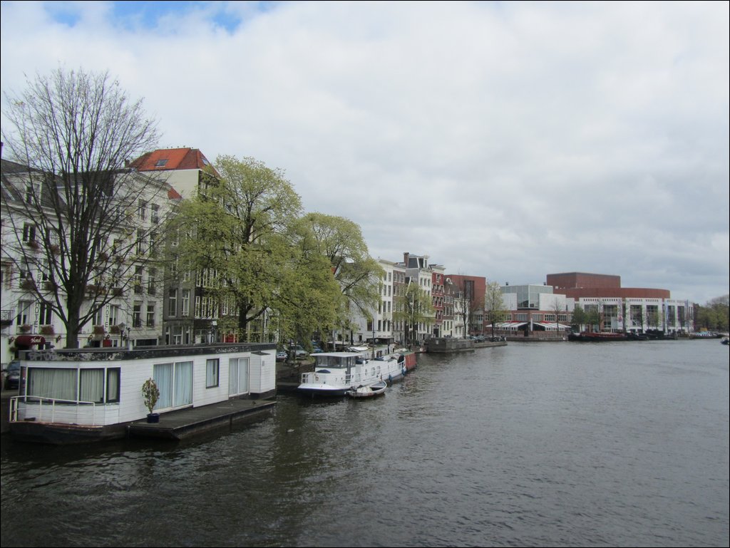 IMG_7467.JPG