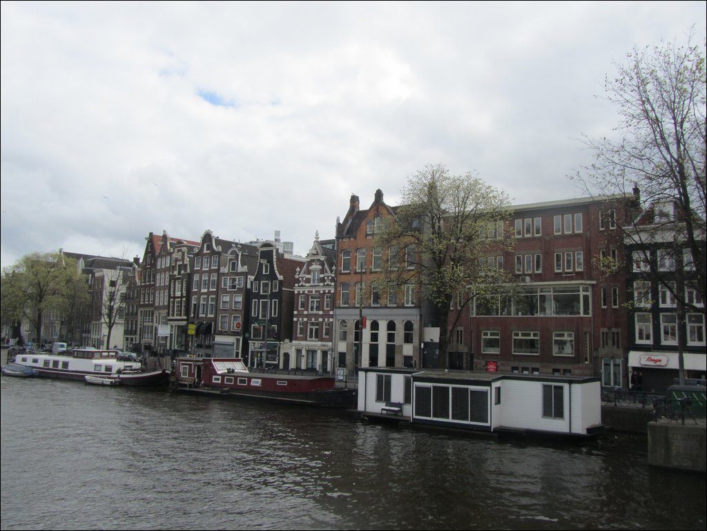 IMG_7468.JPG