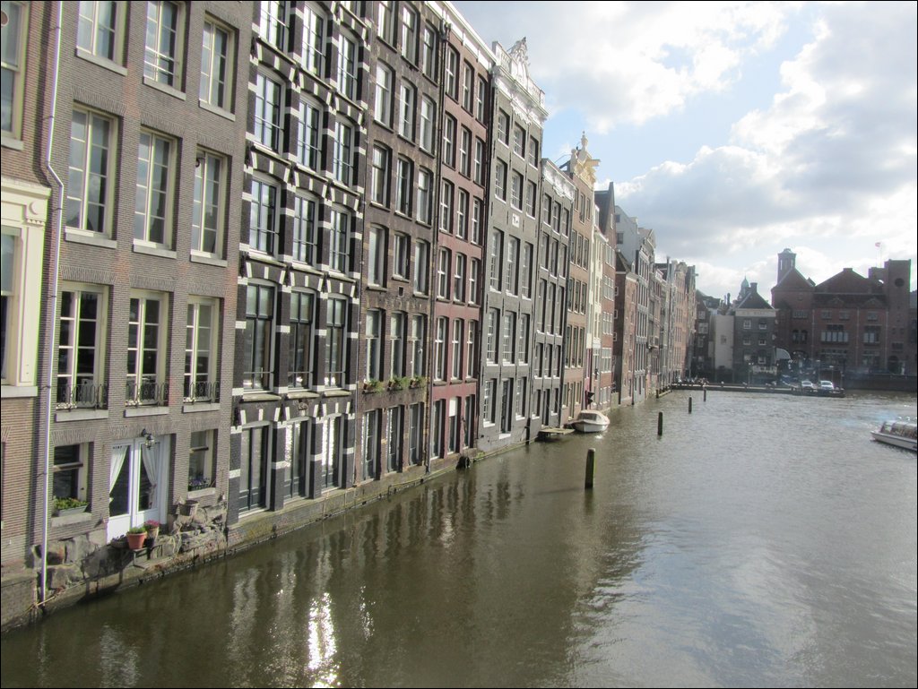 IMG_7482.JPG
