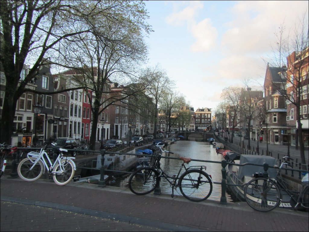 IMG_7505.JPG