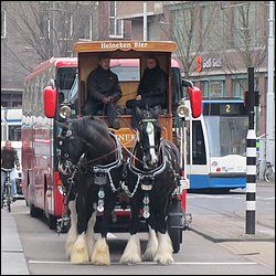 IMG_7020.JPG