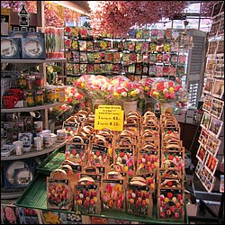 IMG_7133.JPG