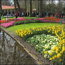 IMG_7270.JPG