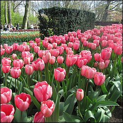 IMG_7279.JPG