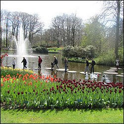 IMG_7288.JPG