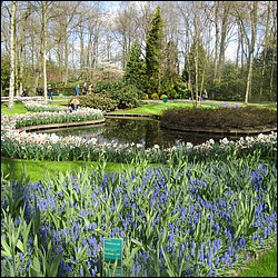 IMG_7327.JPG