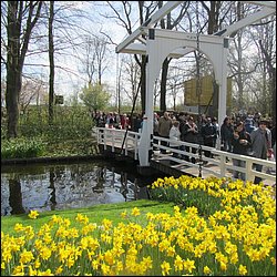 IMG_7344.JPG