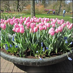 IMG_7352.JPG