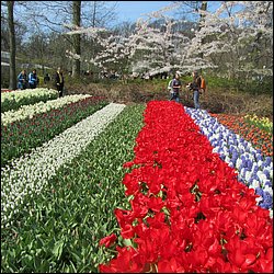 IMG_7354.JPG