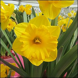 IMG_7395.JPG