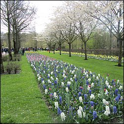 IMG_7410.JPG