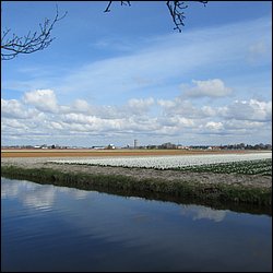 IMG_7434.JPG