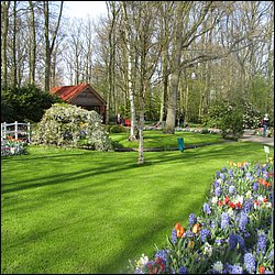 IMG_7447.JPG