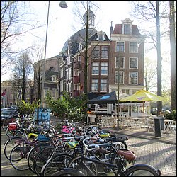 IMG_7485.JPG