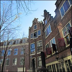 IMG_7487.JPG