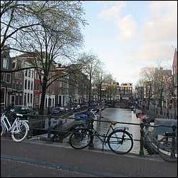 IMG_7505.JPG