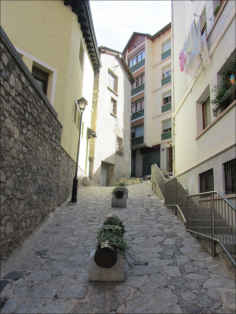IMG_3892.JPG