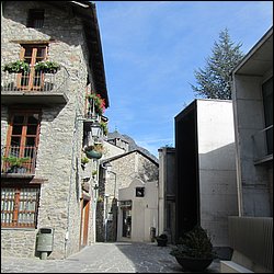 IMG_3882.JPG