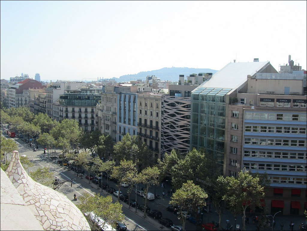 IMG_3704.JPG
