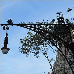 IMG_3510.JPG
