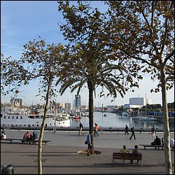 IMG_3524.JPG
