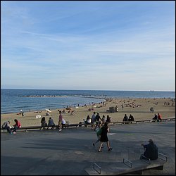IMG_3528.JPG