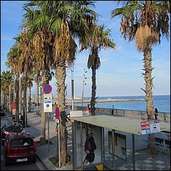 IMG_3529.JPG
