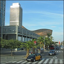 IMG_3534.JPG