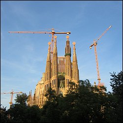 IMG_3574.JPG