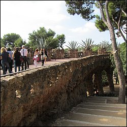 IMG_3648.JPG