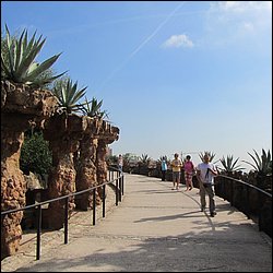 IMG_3660.JPG