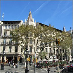 IMG_3726.JPG