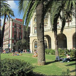IMG_3735.JPG
