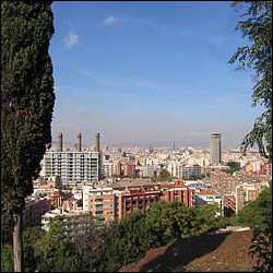 IMG_3772.JPG